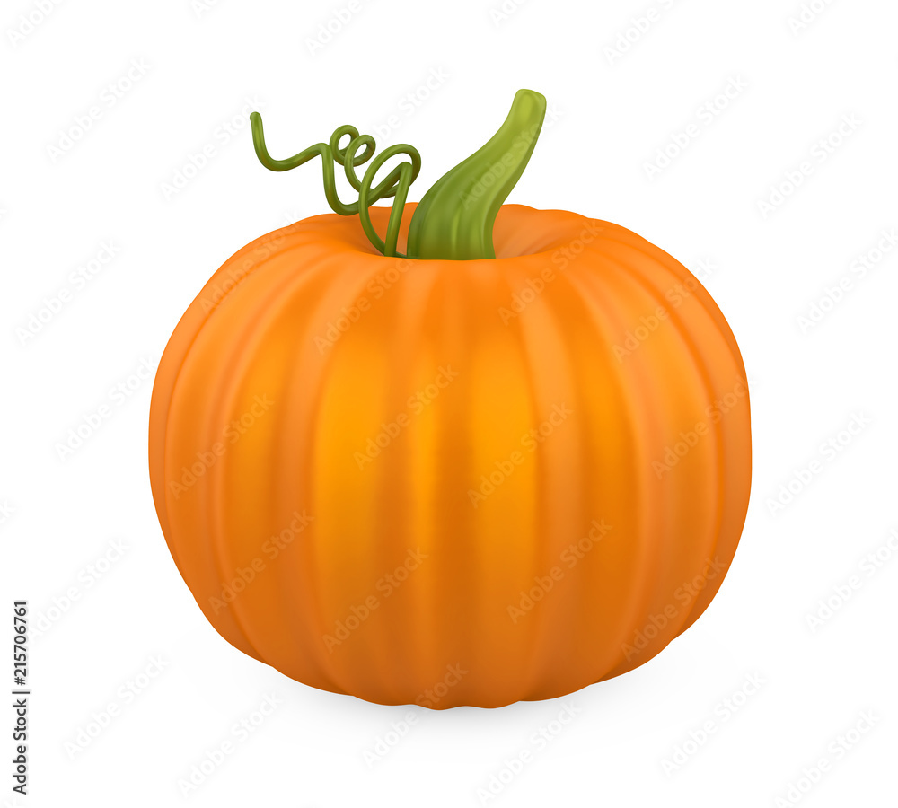 Obraz premium Pumpkin Isolated