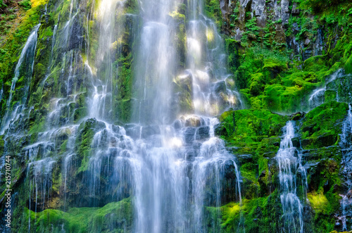 Cascading Water at Proxy Falls