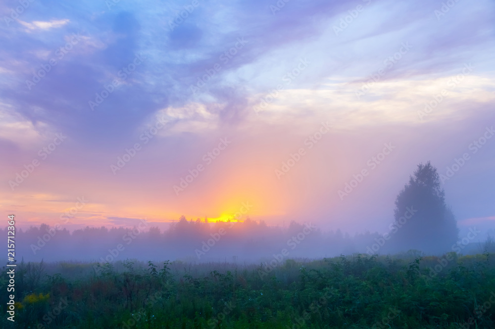 Colorful summer landscape with misty morning and cloudy sky