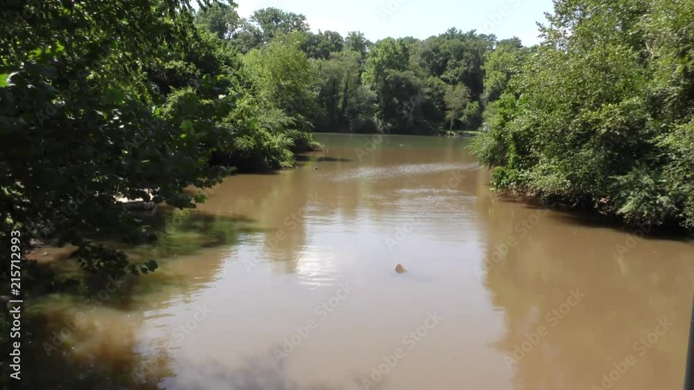 Georgia, Riverside Park, A zoom in on Big Creek as it flowsm into the Chattahoochee River Georgia, Riverside Park, A zoom in on Big Creek as it flowsm into the Chattahoochee River