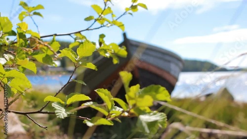 leaves waving on the background of an old fishing boat photo