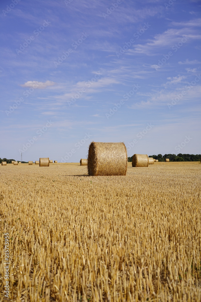 Paysage Campagne 340