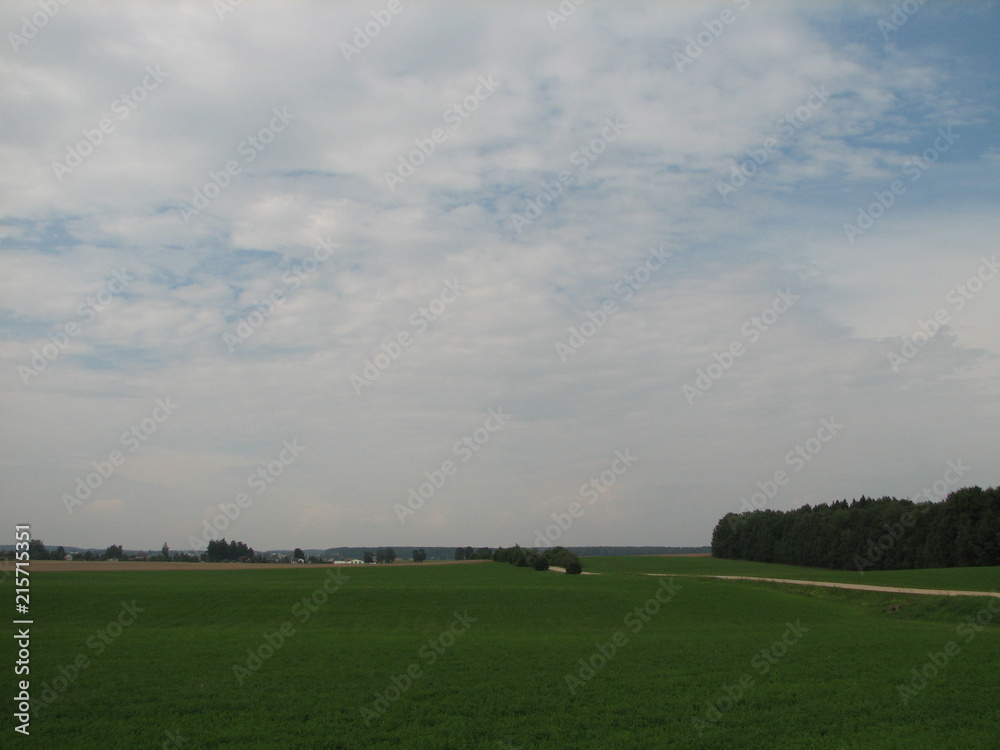 Naklejka premium field
