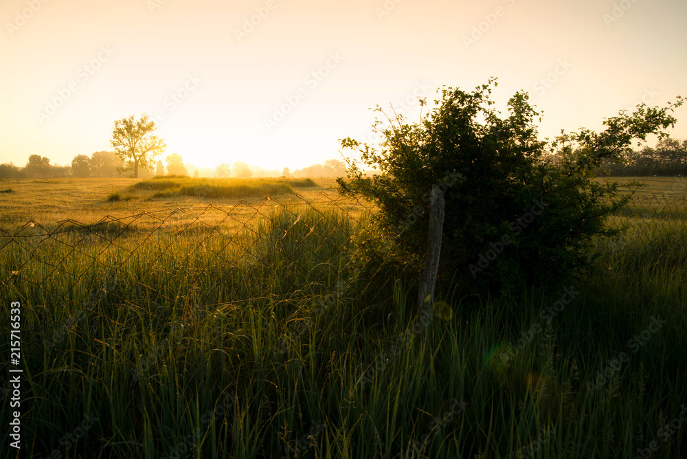 Sunrise in the countryside