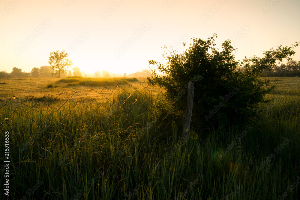Obraz premium Sunrise in the countryside