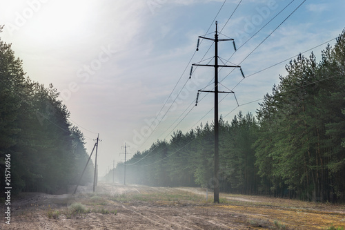 Forest glade with power transmission line right-of-way. Electrical supply wires in fog at early morning