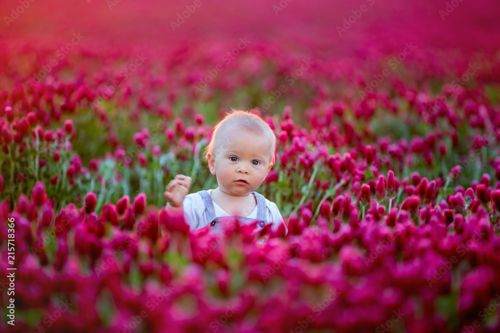 Beautiful children in gorgeous crimson clover field on sunset Beautiful children in gorgeous crimson clover field on sunset