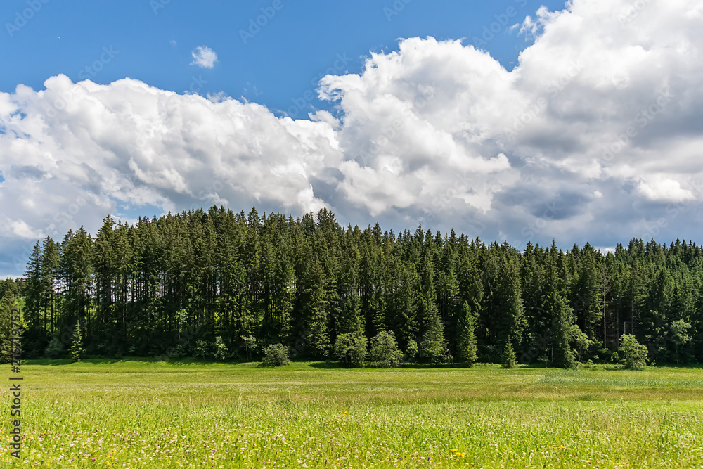 Naklejka premium Idyllic landscape in the Alps with green meadows and clouds