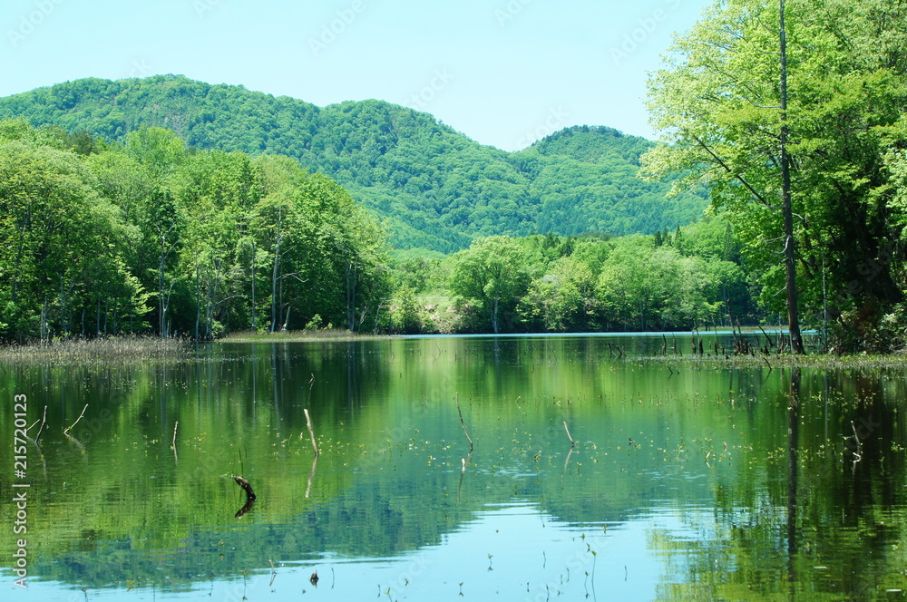 矢の原湿原　会津　昭和村　沼