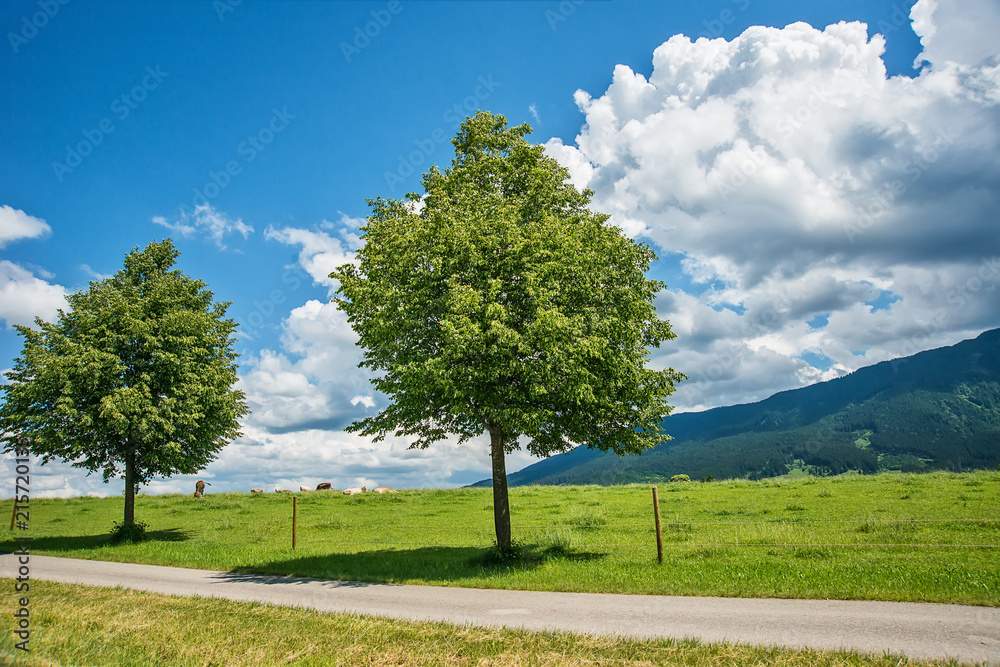 Naklejka premium Idyllic landscape in the Alps with green meadows and clouds