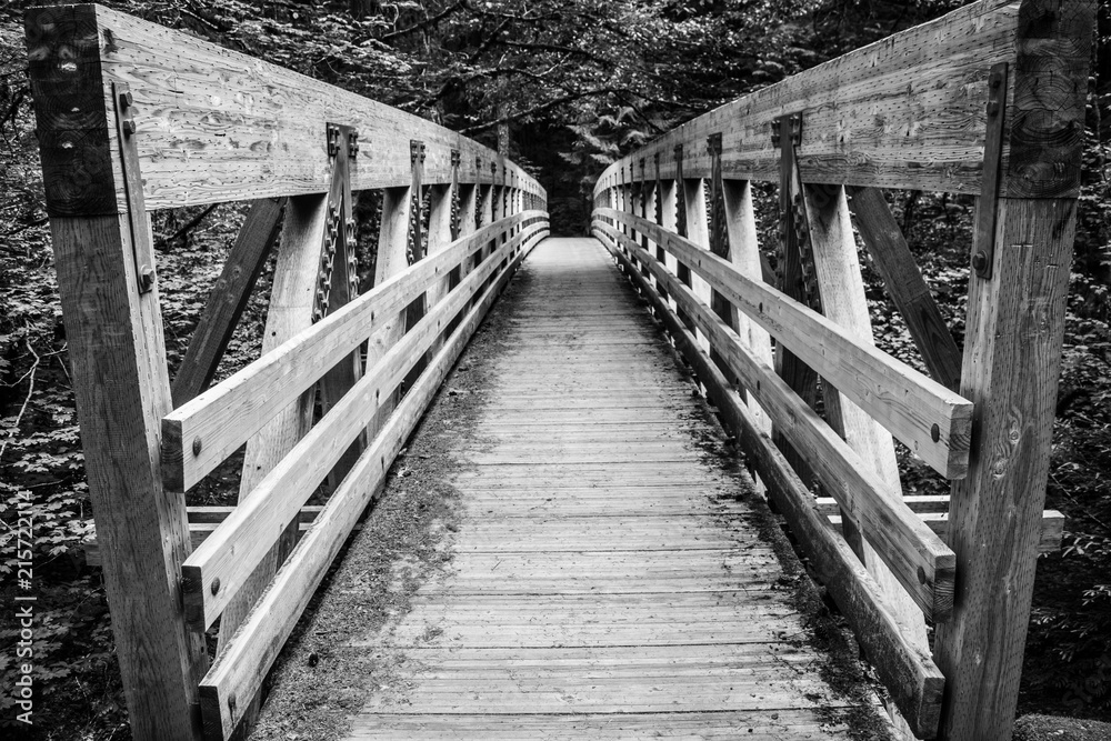 Obraz premium Bridge along the Bagby Hotsprings trail in Oregon