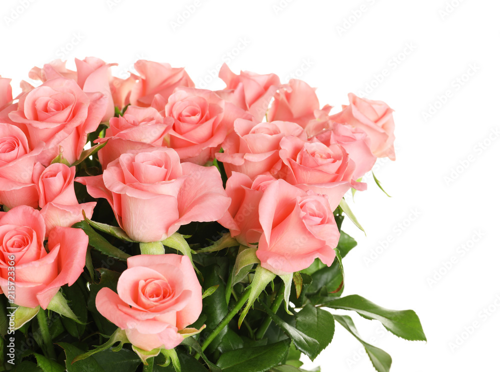 Bouquet of beautiful roses on white background Bouquet of beautiful roses on white background