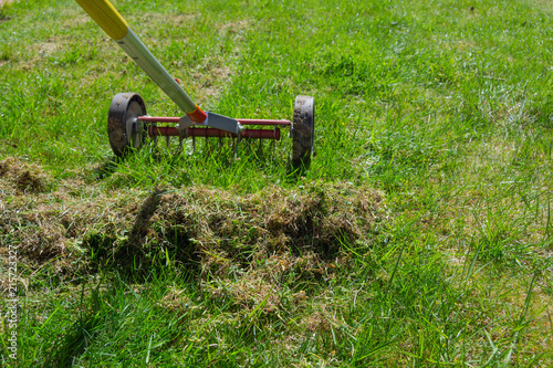 Cleaning up the grass with a rake. Aerating and scarifying the lawn in the garden. Remove old grass. Manual scarification of lawn with fan rakes and wheels. 