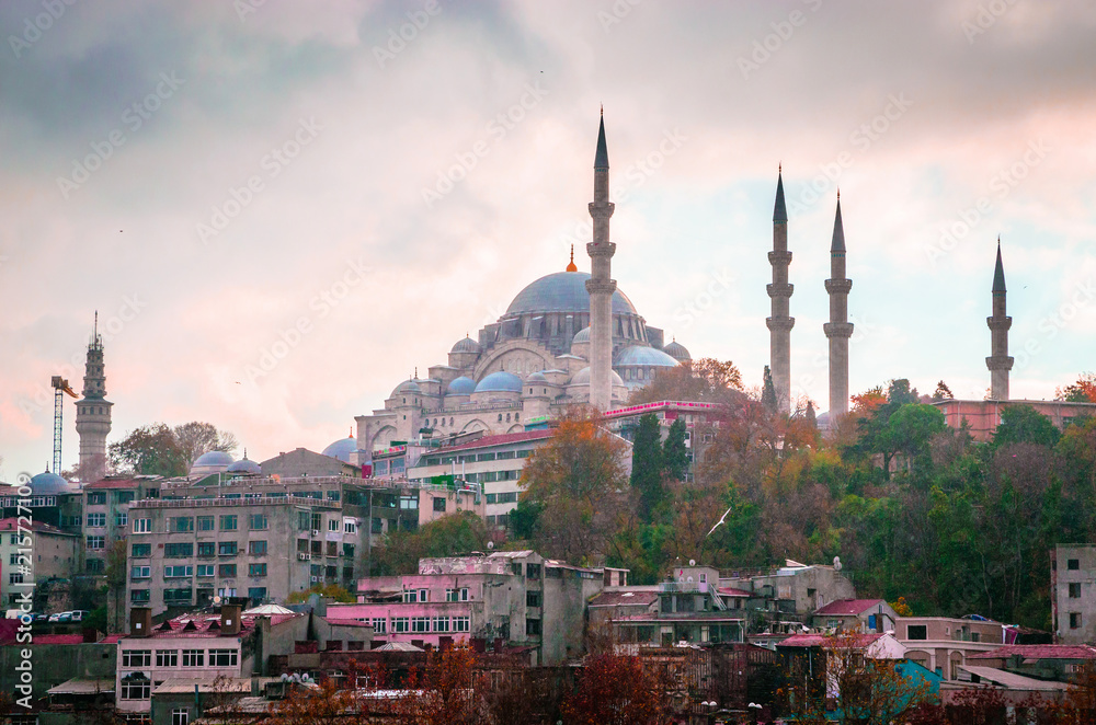 Fototapeta premium Suleymaniye mosque in Istanbul, Turkey