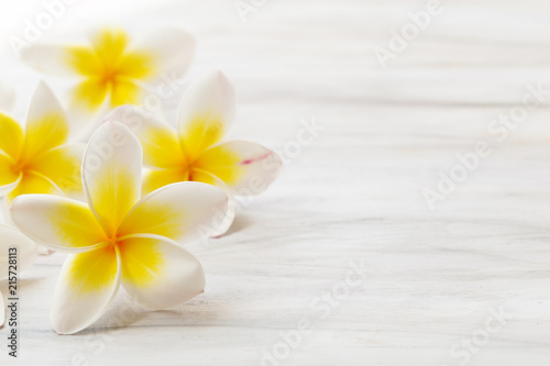 Frangipani flower on white background 