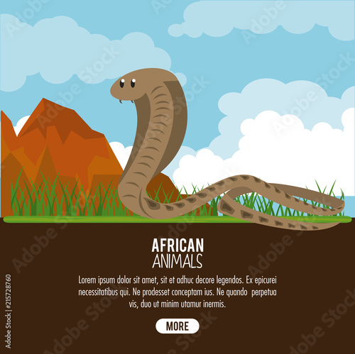African snake animals cartoon poster with information vector illustration graphic design
