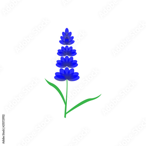 Fototapeta Naklejka Na Ścianę i Meble -  Lavender Logo icon vector template