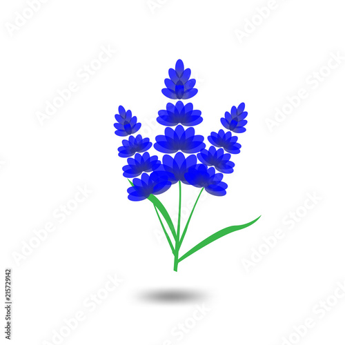 Fototapeta Naklejka Na Ścianę i Meble -  Lavender Logo icon vector template