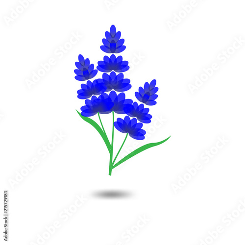 Fototapeta Naklejka Na Ścianę i Meble -  Lavender Logo icon vector template