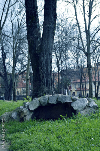 Cueva