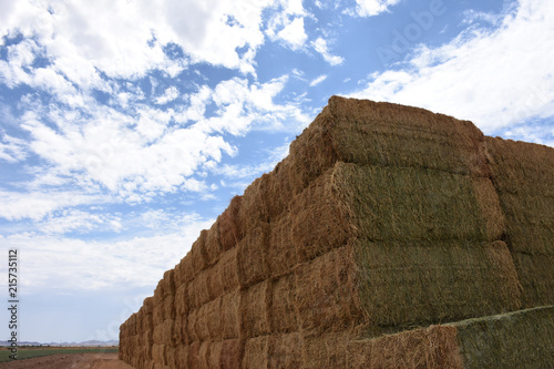 Hay Stack 10