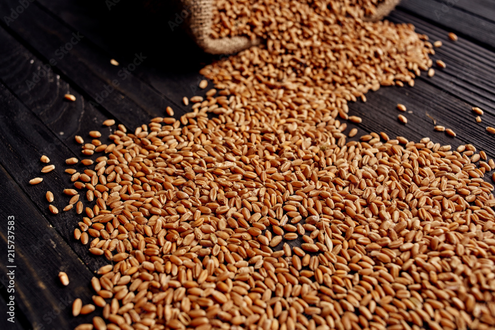 Obraz premium grain bag