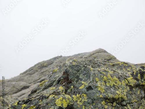 Summit of a mountain during a foggy summer day. Camels Hump, Vermont, USA photo