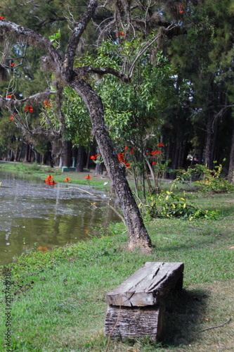 Um cantinho pra relaxar.. photo