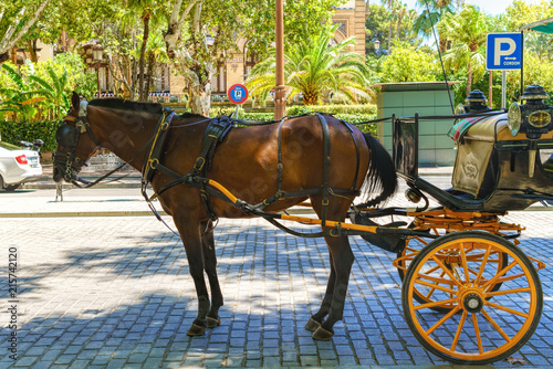 Horses with their bright carriages wait patiently for tourists outside the Cathedral in Seville, Spain