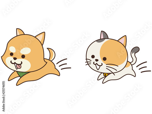 走り回るペットの犬と猫