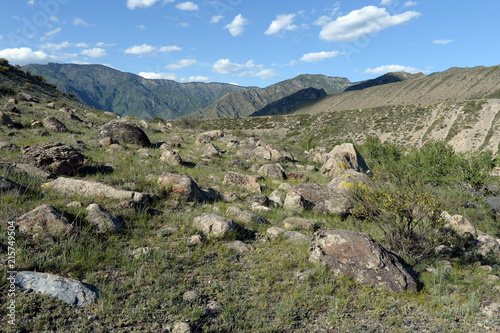  Mountain landscape. Altai Republic. Western Siberia photo