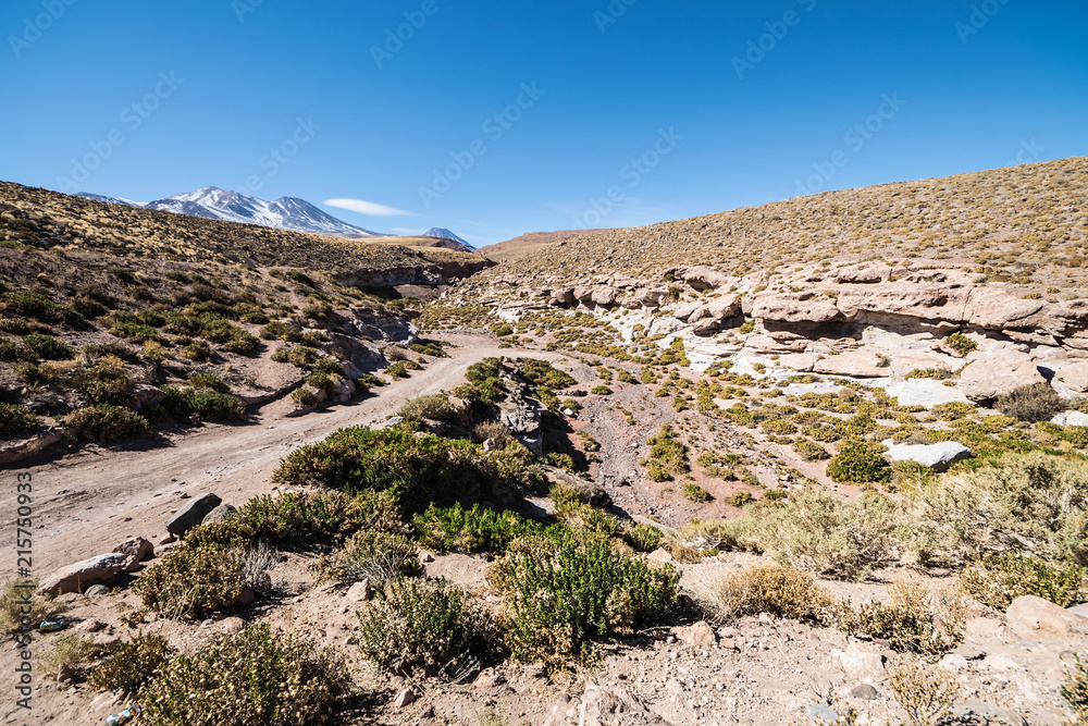 Atacama desert, San Pedro Atacama, Altiplano, Chile Atacama desert, San Pedro Atacama, Altiplano, Chile