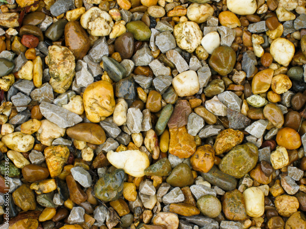 nature beach rock. nature beach rock.