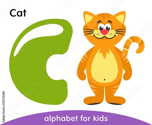 Green letter C and yellow Cat. English alphabet with animals. Cartoon characters isolated on white background. Flat design. Zoo theme. Colorful vector illustration for kids. © Oksana Zhigulina	