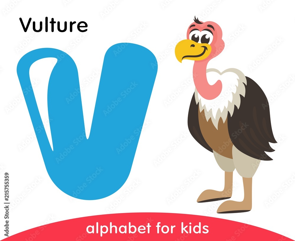 Blue letter V and cute Vulture. English alphabet with animals. Cartoon characters isolated on white background. Flat design. Zoo theme. Colorful vector illustration for kids. Stock Vector | Adobe Stock Blue letter V and cute Vulture. English alphabet with animals. Cartoon characters isolated on white background. Flat design. Zoo theme. Colorful vector illustration for kids. Stock Vector | Adobe Stock