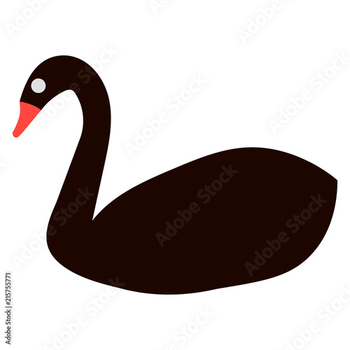 vector illustration of black swan photo