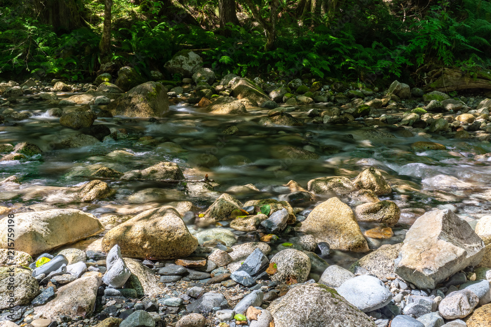 Shannon Creek in Stawamus Chief Provincial Park British Columbia Canada. Shannon Creek in Stawamus Chief Provincial Park British Columbia Canada.