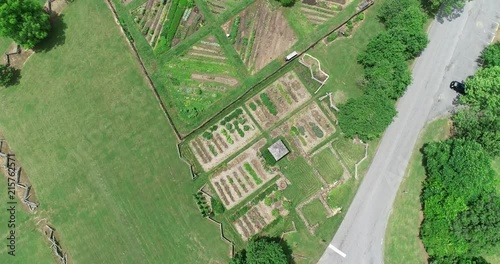 Birds eye view of a garden shaped like a diamond.