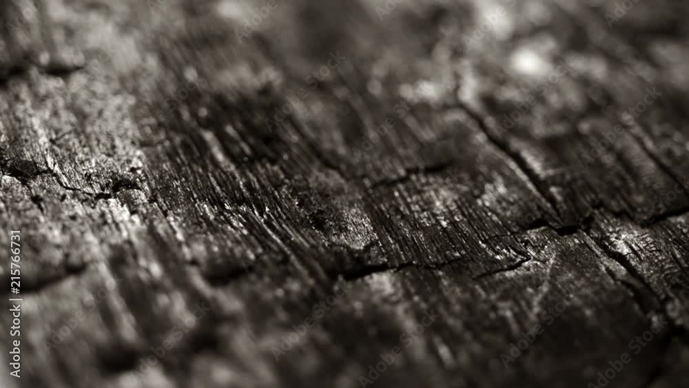 burned wood macro structure, sliding camera movement