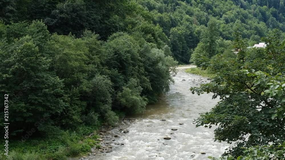 the mountain river flows in the Carpathian mountains the mountain river flows in the Carpathian mountains