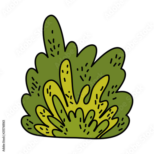 color nature bush plant with tropical leaves