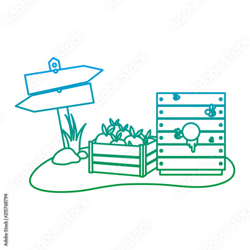 degraded line wood notices emblem and eggplants inside box