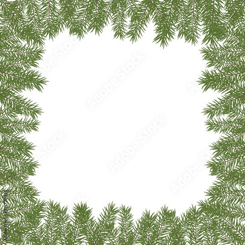Vector pine frame. Vector Christmas tree branches. Realistic fir