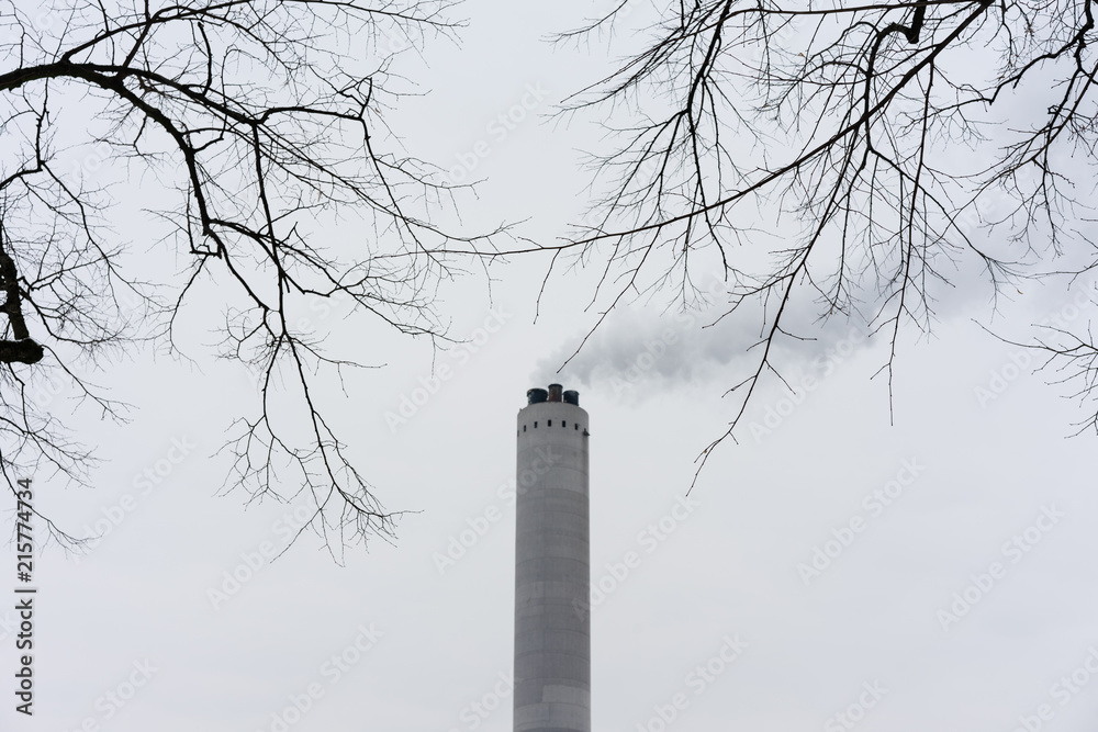 smoke from industrial chimney with tree in foreground
