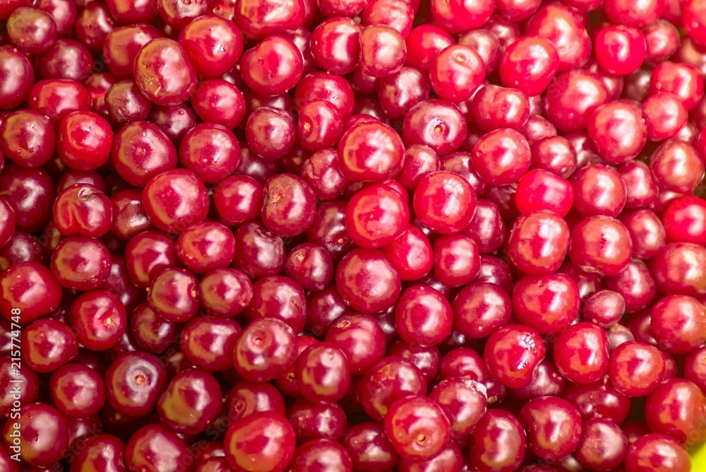 Red ripe cherry. Red ripe cherry.