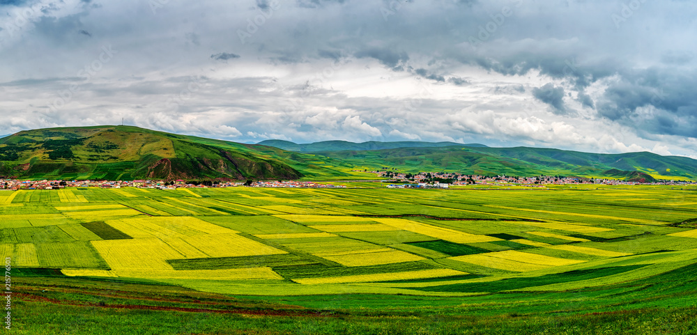 Obraz premium Beautiful of rice terrace in green season.