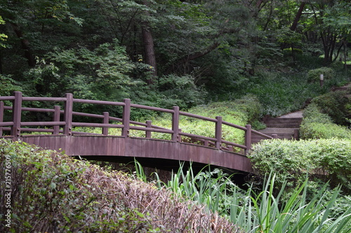 Arched Bridge over a Stream in the Woods