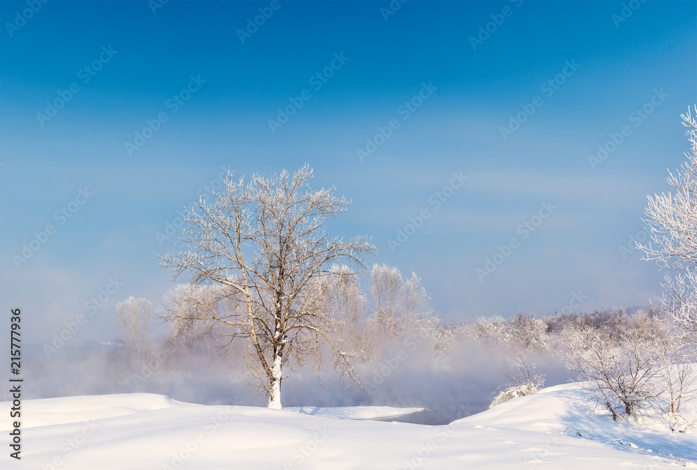 picturesque view of snow covered trees on riverside at sunrise
picturesque view of snow covered trees on riverside at sunrise