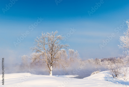 picturesque view of snow covered trees on riverside at sunrise 