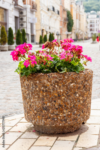 Fototapeta Naklejka Na Ścianę i Meble -  Large flower pot with blooming red geranium. Street decoration. City landscape design